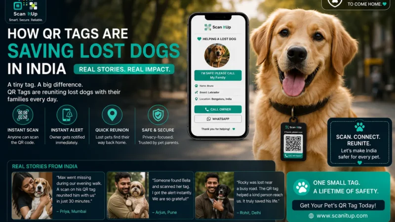 How QR Tags Are Saving Lost Dogs in India — Real Stories