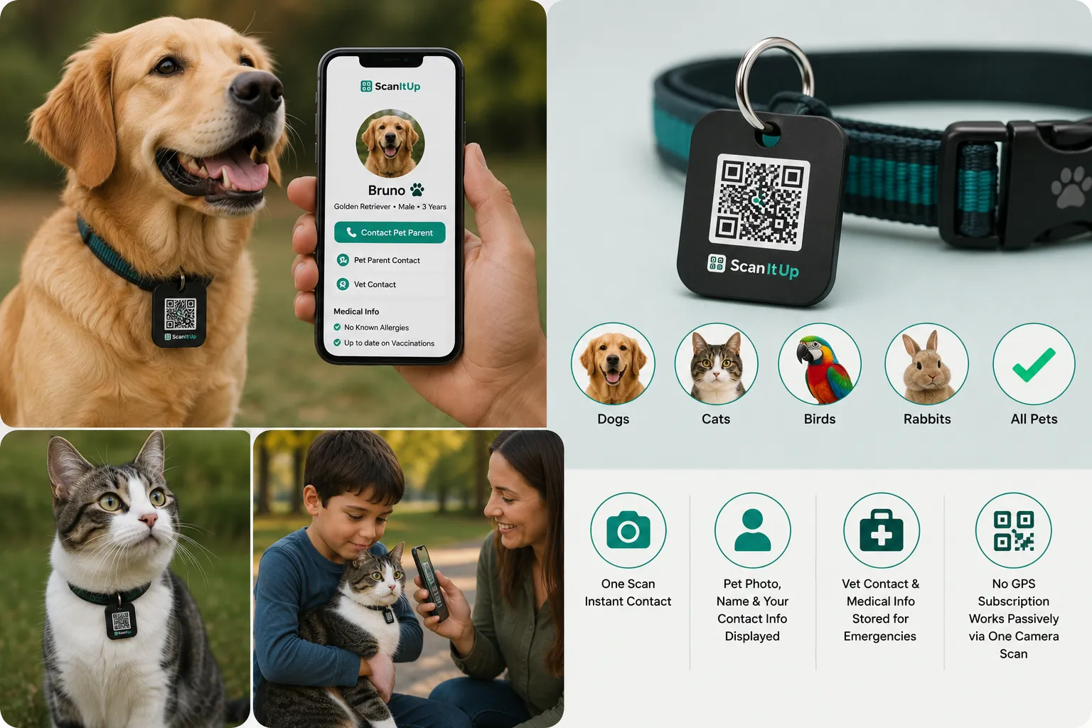 Pet dog with Scan It Up QR collar tag