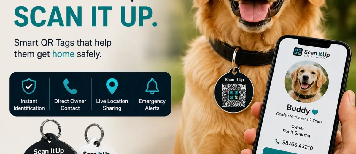 Golden Retriever wearing a Scan It Up smart QR pet tag with mobile profile display for instant pet identification and owner contact.