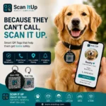 Golden Retriever wearing a Scan It Up smart QR pet tag with mobile profile display for instant pet identification and owner contact.
